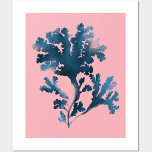 Blue seaweed  illustration Posters and Art